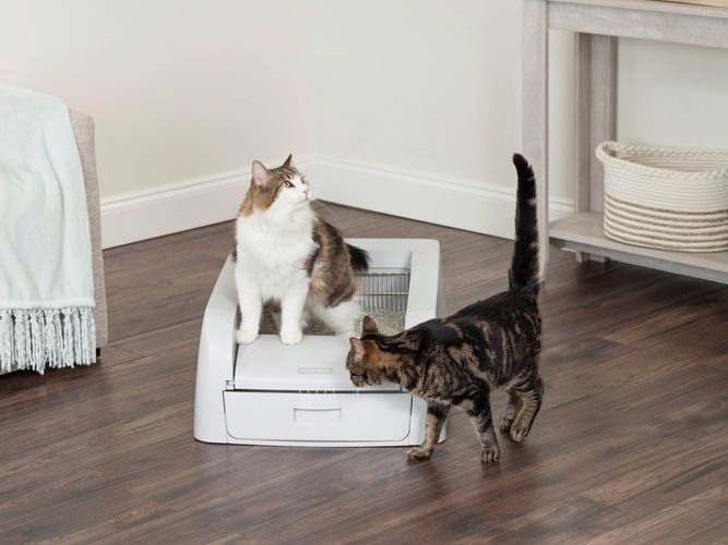Petsafe- Carousel 6- Brand page