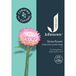 Johnsons Curated For Cutting Strawflower King Size