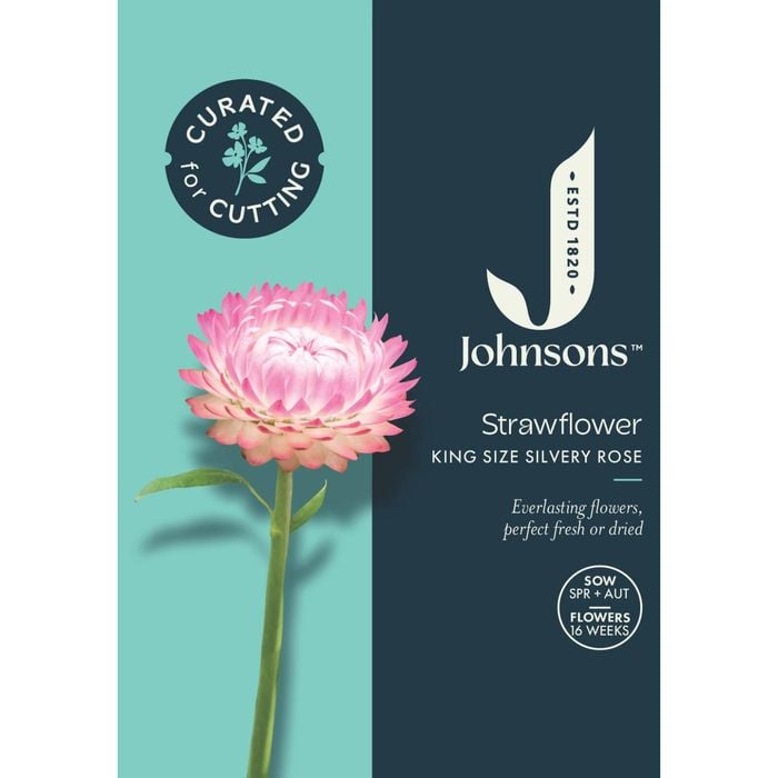 Johnsons Curated For Cutting Strawflower King Size