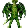 Deluxe Mythical Teen Boys Green Dragon Costume - XLarge