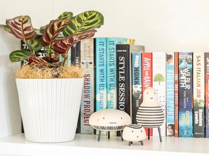 Borralheira
  15cm White Cos Bar Indoor Plant Pot 0428715