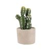 UN-REAL 19cm Artificial Cactus In Concrete Pot