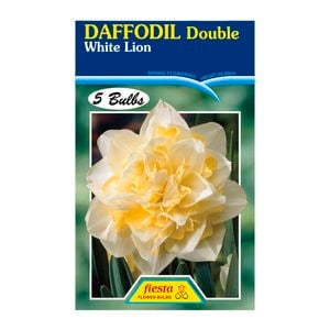 Daffodil Double White Lion - 5 Bulbs