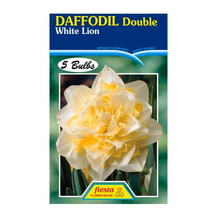 Daffodil Double White Lion - 5 Bulbs