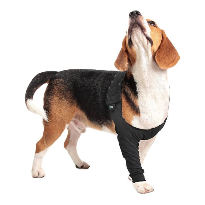 Suitical Recovery Sleeve® Dog