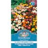 Mr Fothergill's Strawflower Dwarf Mixed Seeds