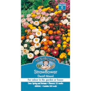 Mr Fothergill's Strawflower Dwarf Mixed Seeds