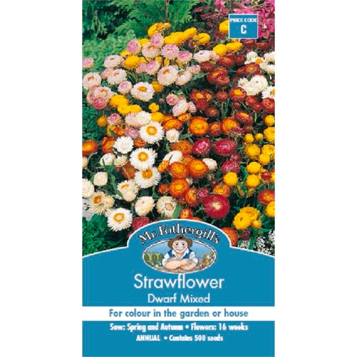 Mr Fothergill's Strawflower Dwarf Mixed Seeds