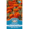 Mr Fothergill's Marigold Kees' Orange African Seed