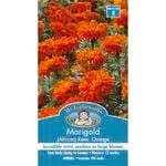 Mr Fothergill's Marigold Kees' Orange African Seed