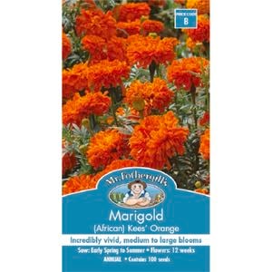 Mr Fothergill's Marigold Kees' Orange African Seed