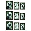 3x 3pc Frankie & Me Wooden Nested Picture Frame Home/Office Decor Medium Brown