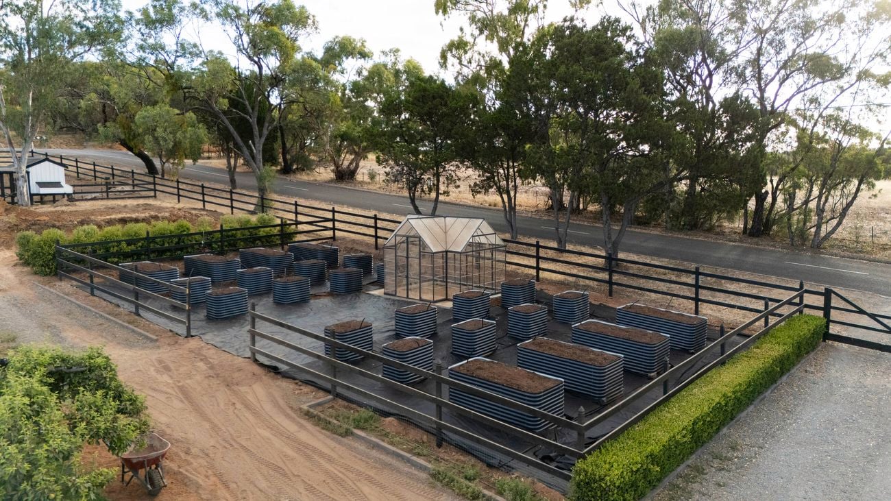 A fenced garden area with multiple raised metal garden beds filled with soil, centered around a small greenhouse, surrounded by trees and gravel paths.