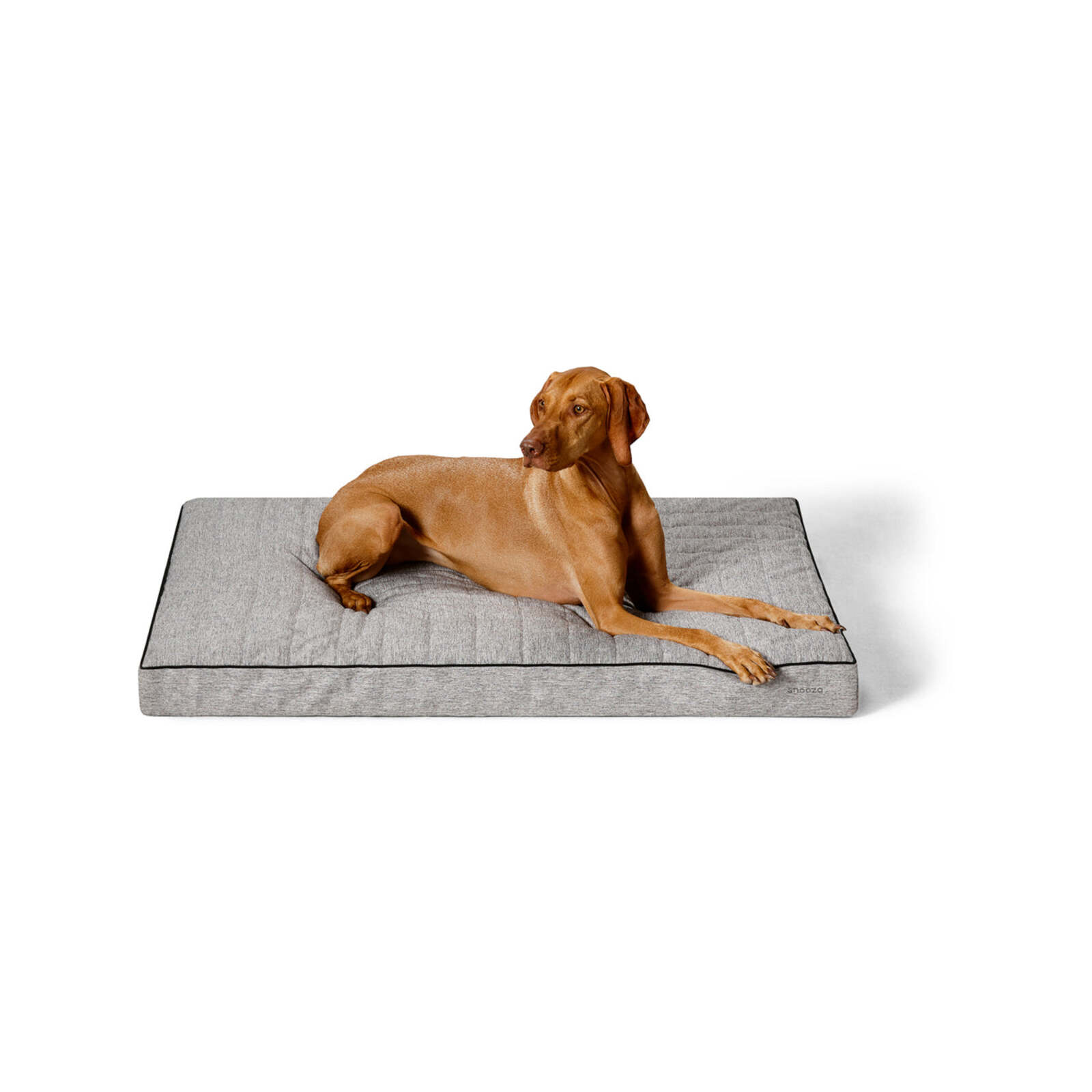 Bunnings dog bed best sale