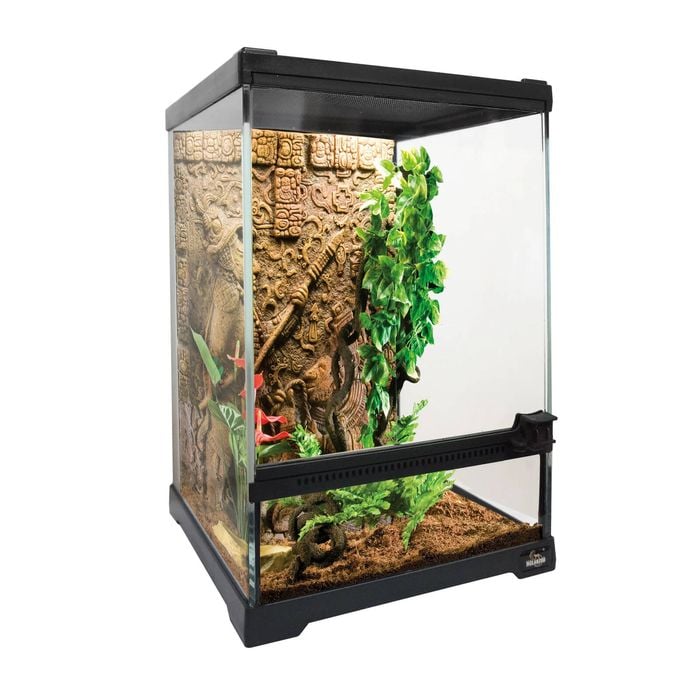 Deluxe Reptile Terrarium 20cm x 20cm x 30cm
