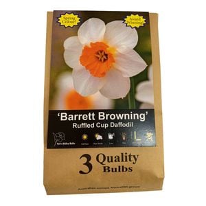 Yarra Valley Bulbs Daffodil Barret Browning - 3 Pack