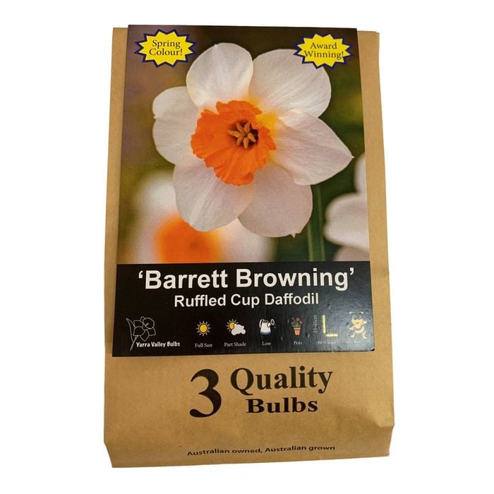 Yarra Valley Bulbs Daffodil Barret Browning - 3 Pack