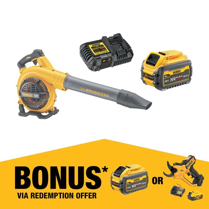 DeWALT 54V XR FLEXVOLT Brushless Blower Kit 