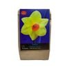 Yarra Valley Bulbs Daffodil Robin - 3 Pack