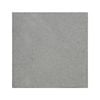 Tuscan Path 400 x 400 x 20mm Bluestone Paver
