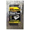 The Big Cheese Multi-Catch Mouse Trap