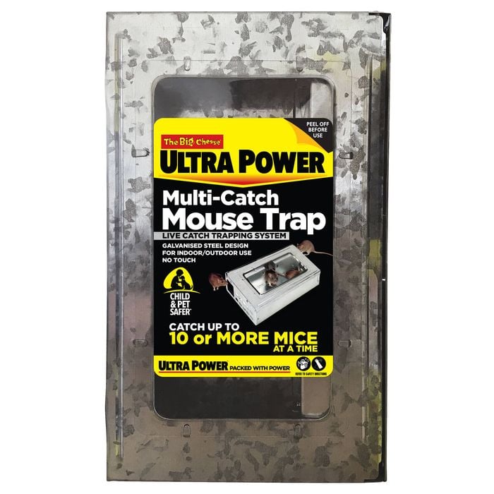 The Big Cheese Multi-Catch Mouse Trap