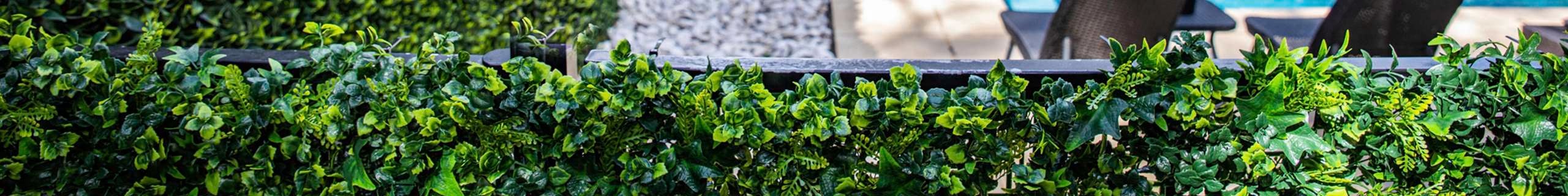 hedge artificial  Vertical Garden besides a swimming pool
