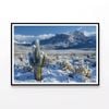 Cactus, Sky and Mountain  Print 100% Australian Made 90x60cm  (Poster)