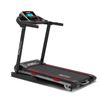 DS Multifunction Electric Treadmill - 42 cm
