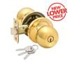 Ikonic Polished Brass Ruby Entry Knob Set
