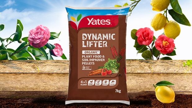 Yates dynamic spray