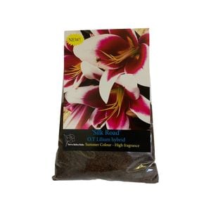 Yarra Valley Bulbs Lilium Silk Road - 1 Pack