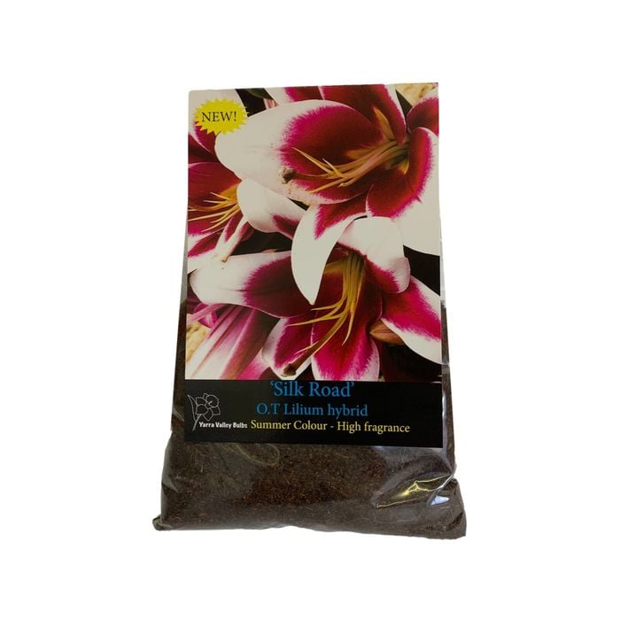 Yarra Valley Bulbs Lilium Silk Road - 1 Pack