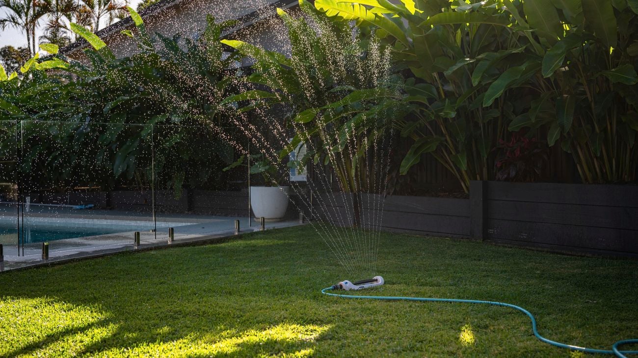 Autumn lawn watering care