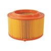WIX Air Filter WA9763 Interchangeable with A1784, WA5251