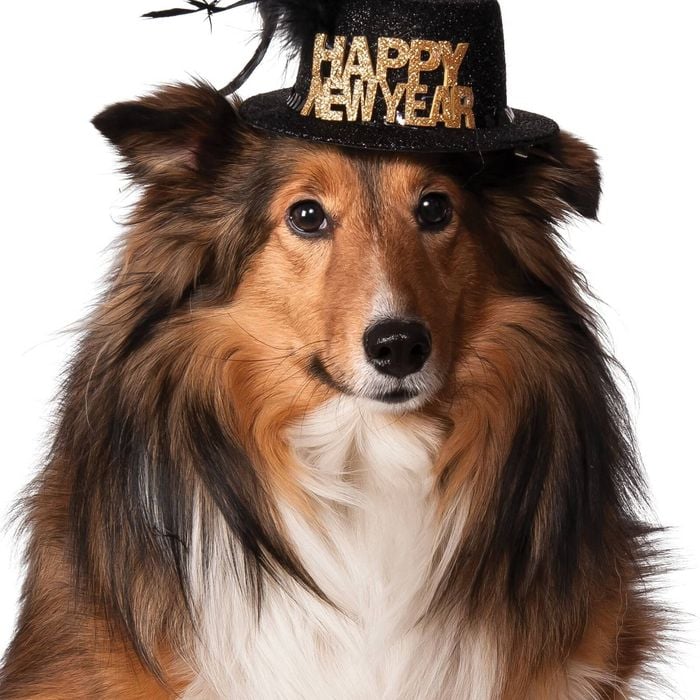 Pet New Year Top Hat with Glitter &amp; Feather – Dog Halloween Costume Accessory, Small - Medium