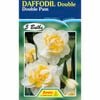 Daffodil Double Pam - 5 Bulbs