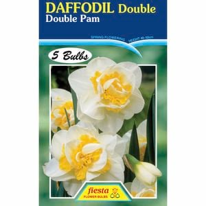 Daffodil Double Pam - 5 Bulbs