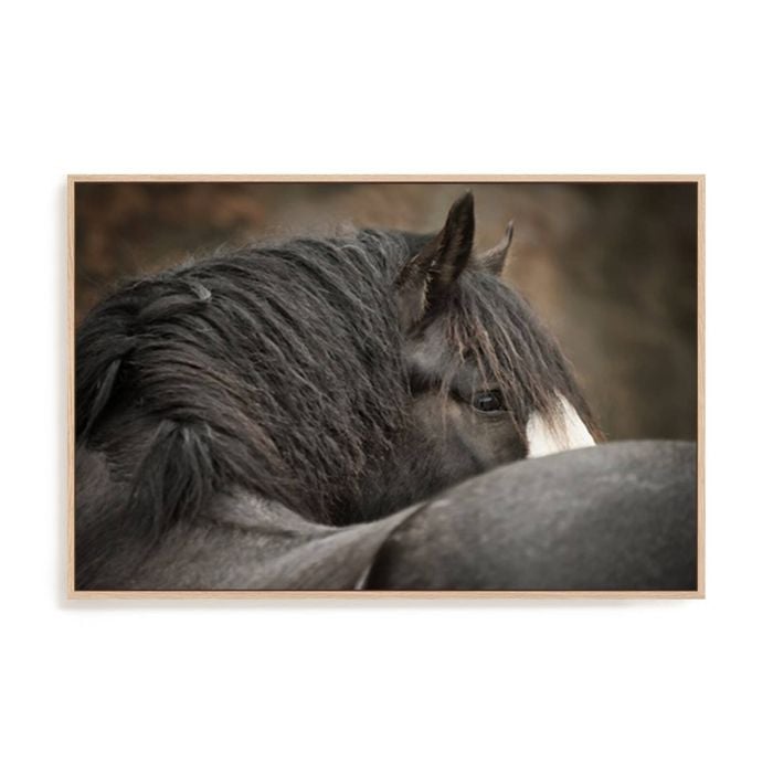 Artey | Looking Back - Framed Canvas - Natural Frame - 80 x 120cm