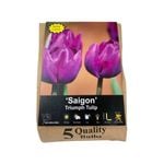 Yarra Valley Bulbs Tulip Saigon - 5 Pack