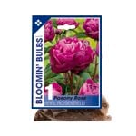 Packet Bulbs