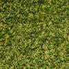 DIY Turf 20mm Lifestyle Turf Artificial Grass