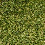 DIY Turf 20mm Lifestyle Turf Artificial Grass