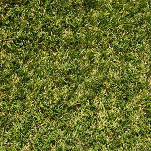 DIY Turf 20mm Lifestyle Turf Artificial Grass