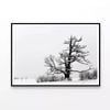 Oak Tree Winter   Print 100% Australian Made 120x90cm  (Poster)