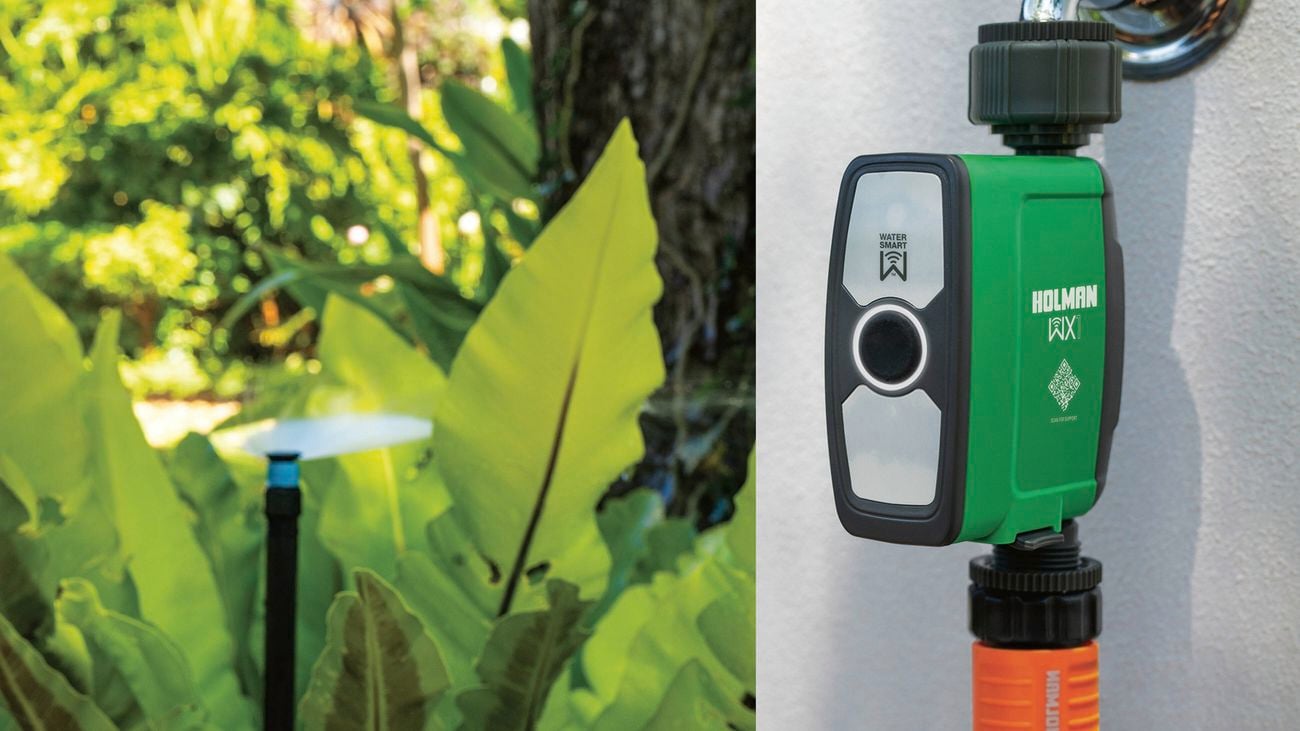 Holman dual tap timer