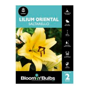 Bloomin Bulbs Lilium Oriental Saltarello - 2 Pack