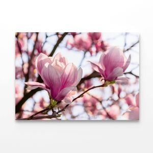 Pink Flower Blossom Springtime   Print 100% Australian Made 50 x 40cm  (Acrylic)