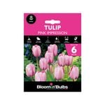 Bloomin' Bulbs Tulip Pink Impression - Tulipa hybrid - 6 Pack