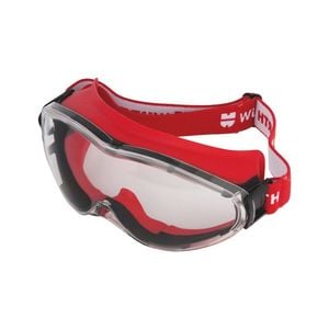 Snow Goggles